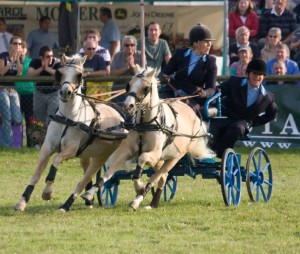 frome, somerset, frome show, scurry racing, 