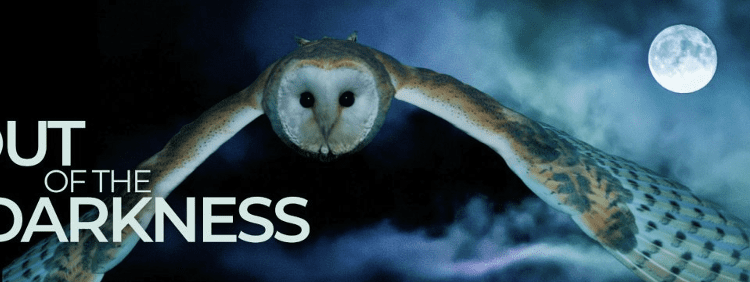 Heal Rewilding launches a unique night soundscape experience