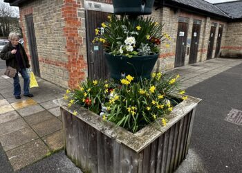 Market Yard toilets to be managed by town council