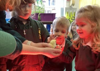 The life cycle of a chicken – local children watch chicks hatch