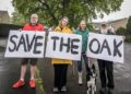 Community campaigns to save 300-year-old English oak tree