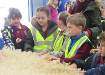 Field to Food – local pupils learn about where their food comes from