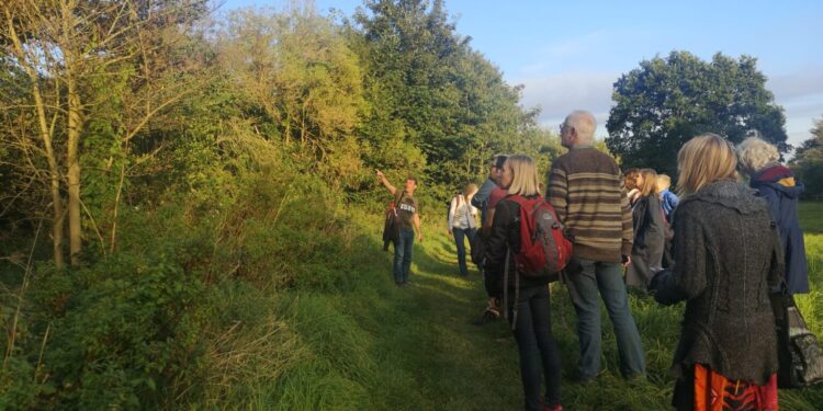 Great Big Green Week back in Frome this June