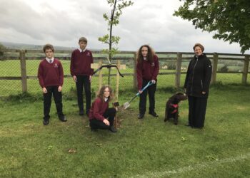 New tree marks a year since King Charles coronation