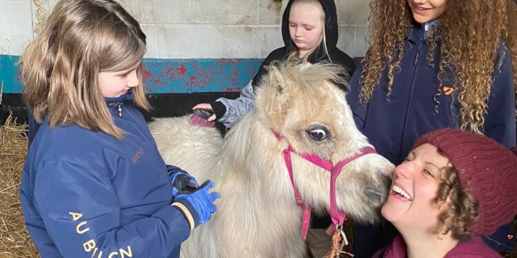 Local children’s therapy project needs your help