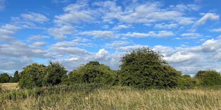 Local residents ready to buy Packsaddle Fields if planning application fails