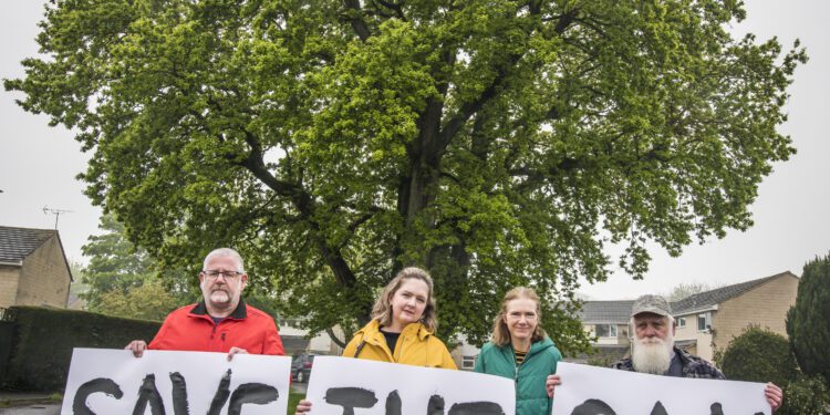 Centuries-old Frome oak tree is saved from felling