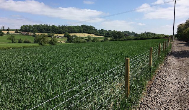 Local charity launches campaign to help fund ‘missing link’