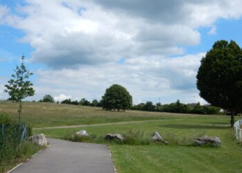 Dog area plans for Old Showfield shelved