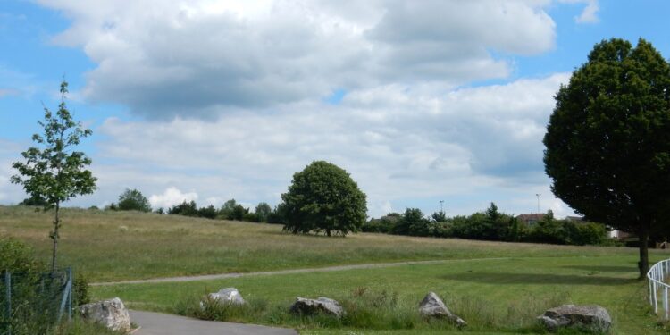 Dog area plans for Old Showfield shelved