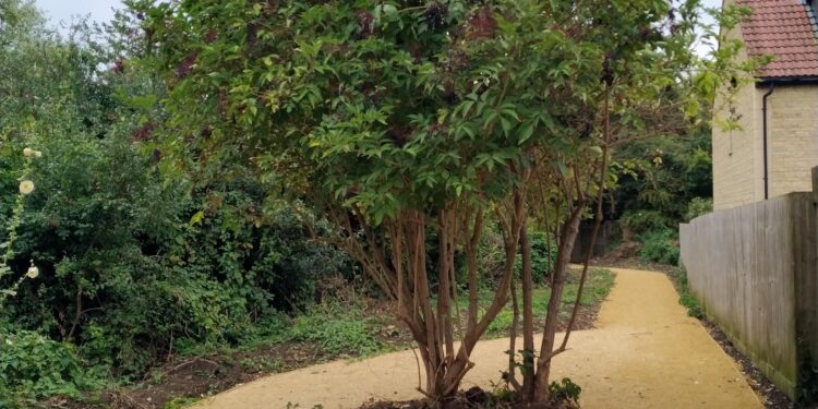 Community garden volunteers call for support to kickstart projects