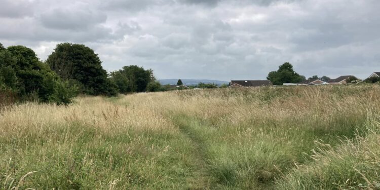 Beloved Frome green space can’t be sold off to locals to prevent new homes