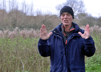 Fundraising campaign launched to buy Adderwell Meadow as public green space