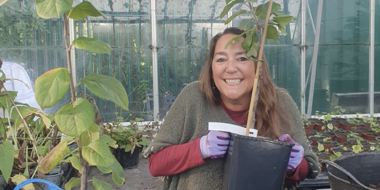 A free tree or a home for a bee at the Weylands Wassail