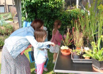 Applications open for popular Hidden Gardens trail