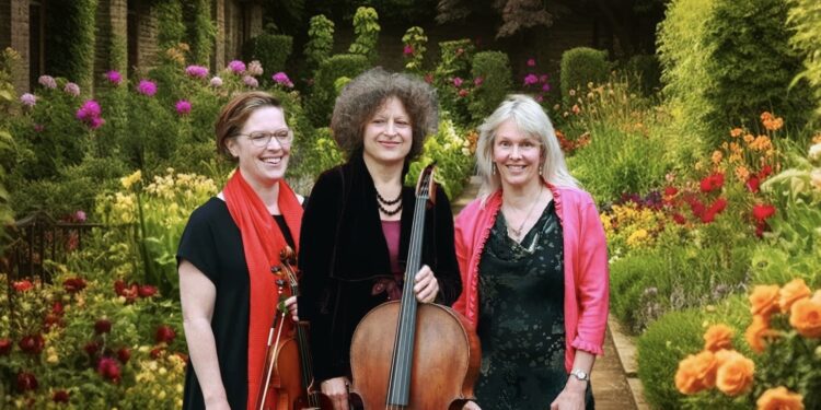 New violinist joins classical trio
