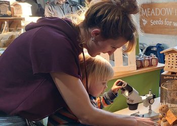 Frome Potato Day and Seed Swap returns this month