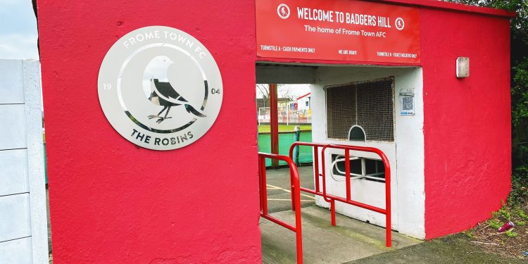 New proposal outlines plan for Badgers Hill Stadium