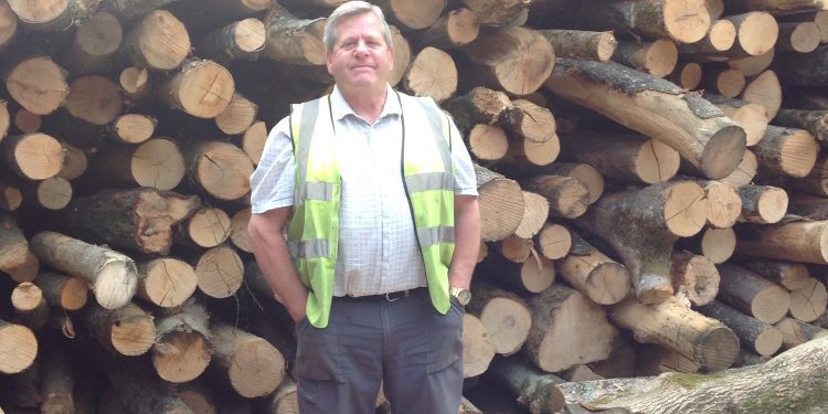 Half a century of timber tradition – Valley Sawmills celebrates 50 years