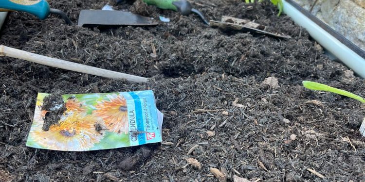 Canteen to dish up home-grown potato salad at Victoria Park pop-up
