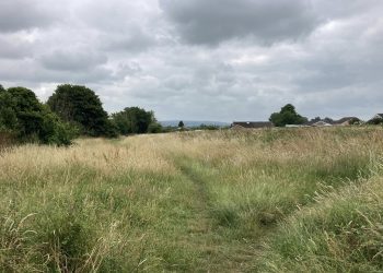 Fate of Packsaddle Community Fields to be determined