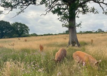 New generation become climate champions with new group