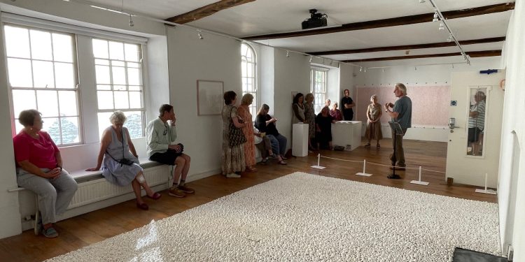 Unique shell art installation is tribute to Frome residents