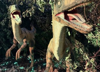 Step into a summer adventure at Whitehall’s Fairy & Dinosaur Grotto