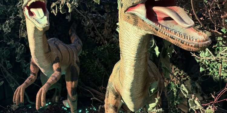 Step into a summer adventure at Whitehall’s Fairy & Dinosaur Grotto