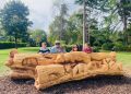 A new chapter for Victoria Park’s much-loved tree