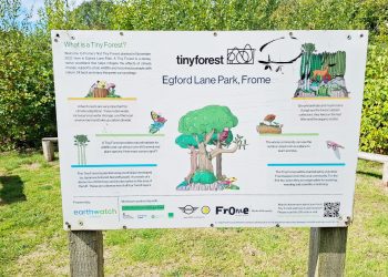 Join the fun at Egford Park’s community picnic