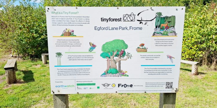 Join the fun at Egford Park’s community picnic