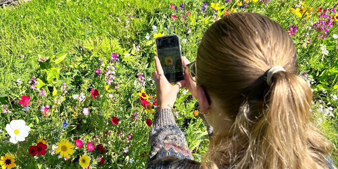 Frome Wild Bunch Column – Be a nature detective!