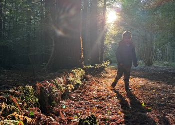 Head to Discover Frome for ‘spook-tacular’ half-term ideas