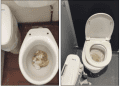 Parents raise concerns over cleanliness of Frome College toilets
