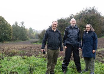 Work to start on woodland in memory of Frome resident