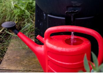 Frome Wild Bunch Column – Store water in times of plenty