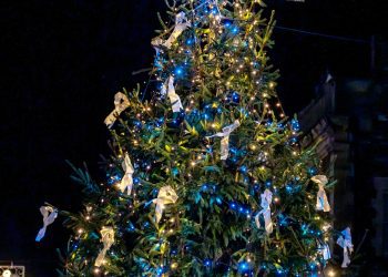 Frome’s Christmas tree shines light on White Ribbon campaign
