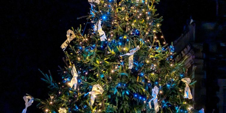 Frome’s Christmas tree shines light on White Ribbon campaign