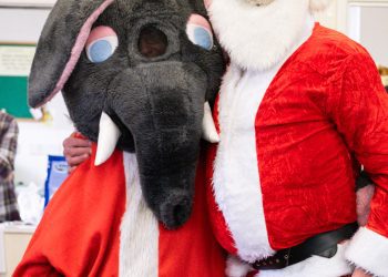 Fundraiser launched for Frome Christmas Day