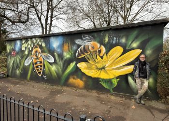 New mural creates buzz at Mary Baily Field