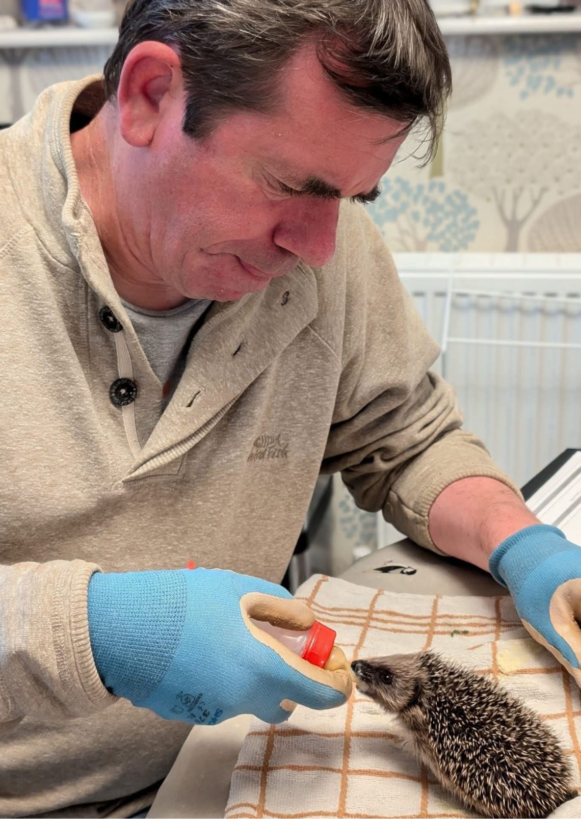 Death Notices Archives Frome Times