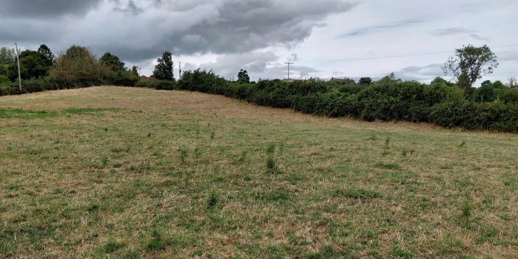 Fate of 1,700 Frome homes to be settled around Easter