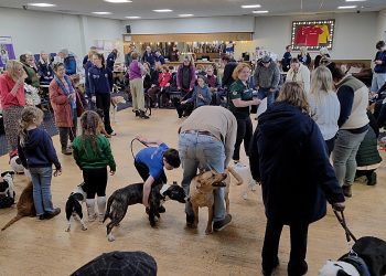 Paws, people and community spirit at charity dog show