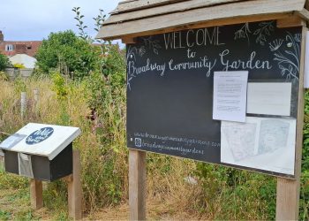 Frome Wild Bunch Column – Engage in wildlife-friendly practices