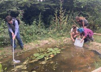 Frome Wild Bunch Column – Ponds and hedges