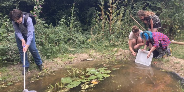 Frome Wild Bunch Column – Ponds and hedges