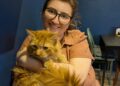 Cat cafe opens in Frome