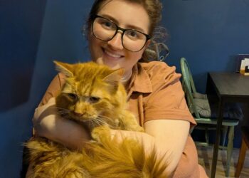 Cat cafe opens in Frome