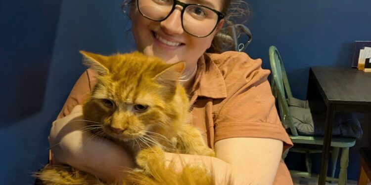 Cat cafe opens in Frome